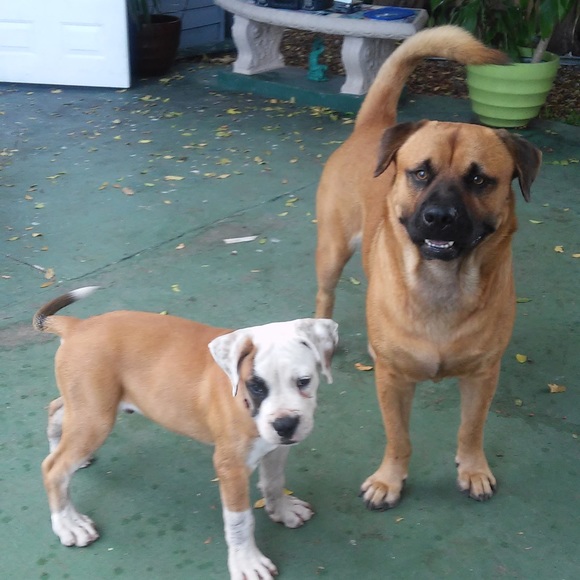 Meet your Posher, yamy - Picture 4 of 10